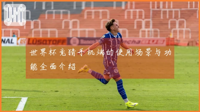 世界杯竞猜手机端的使用场景与功能全面介绍
