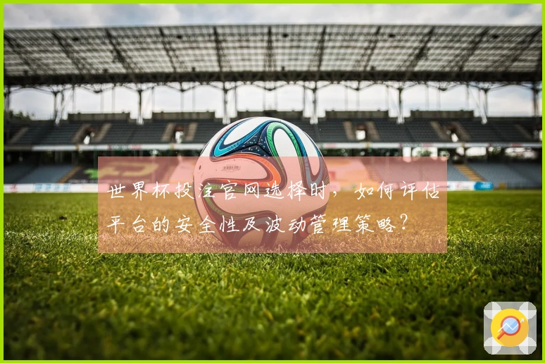 世界杯投注官网选择时，如何评估平台的安全性及波动管理策略？