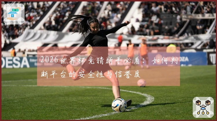 2026世界杯竞猜新手必看：如何判断平台的安全性与信誉度
