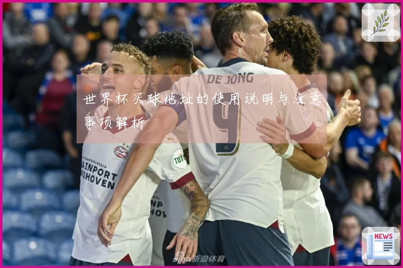 世界杯买球地址的使用说明与注意事项解析