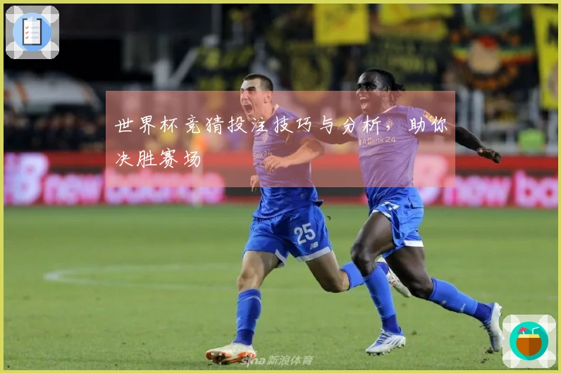 世界杯竞猜投注技巧与分析，助你决胜赛场