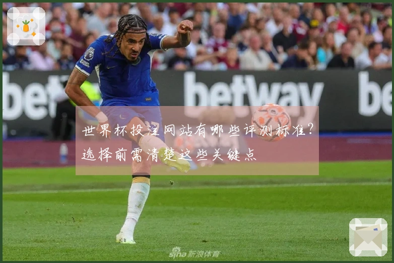 世界杯投注网站有哪些评测标准？选择前需清楚这些关键点