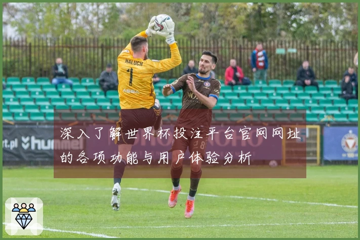 深入了解世界杯投注平台官网网址的各项功能与用户体验分析