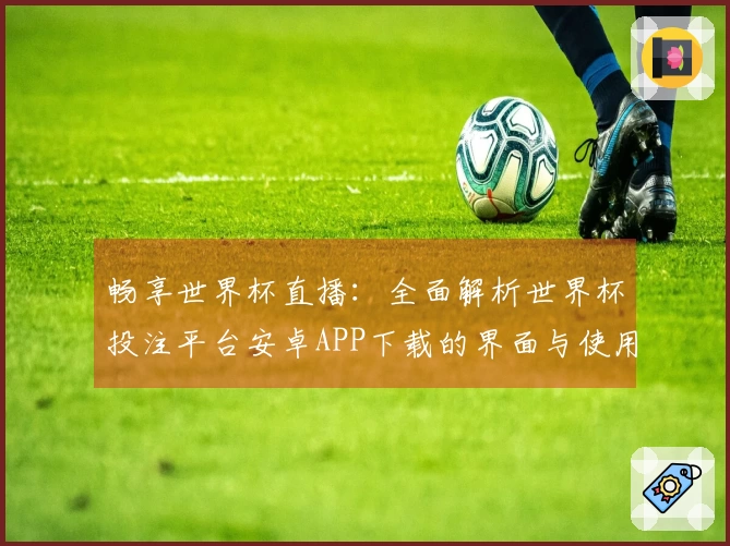 畅享世界杯直播：全面解析世界杯投注平台安卓APP下载的界面与使用体验