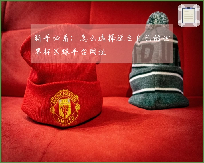 新手必看：怎么选择适合自己的世界杯买球平台网址