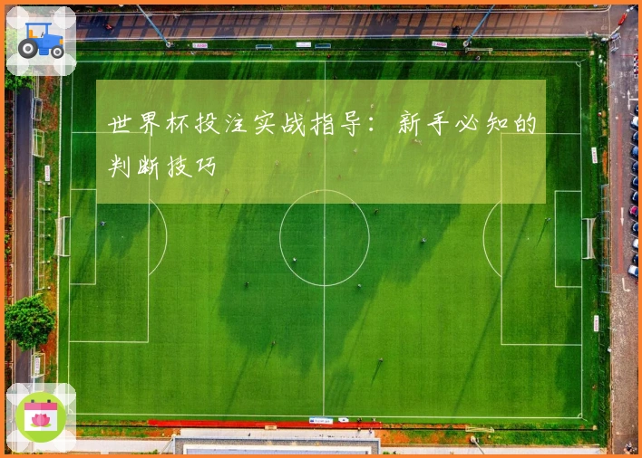 世界杯投注实战指导：新手必知的判断技巧