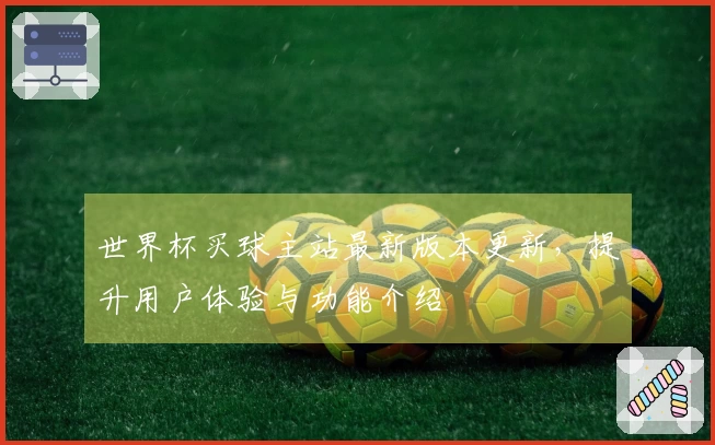 世界杯买球主站最新版本更新，提升用户体验与功能介绍