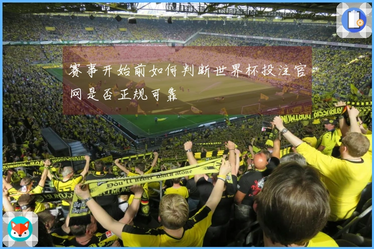 赛事开始前如何判断世界杯投注官网是否正规可靠