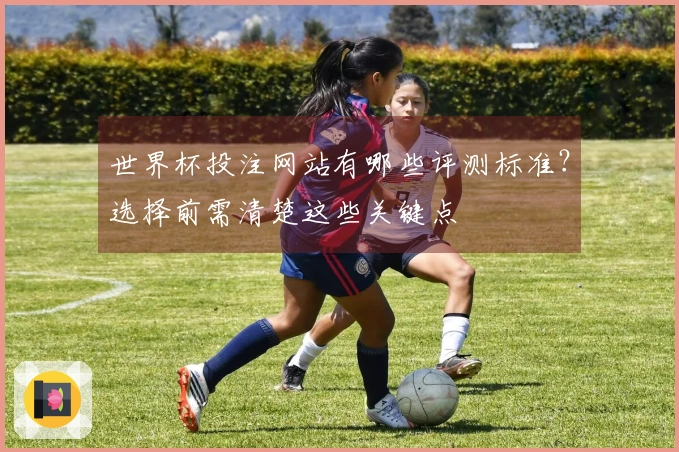 世界杯投注网站有哪些评测标准?选择前需清楚这些关键点