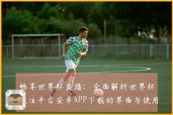 畅享世界杯直播：全面解析世界杯投注平台安卓APP下载的界面与使用体验