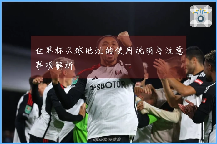 世界杯买球地址的使用说明与注意事项解析