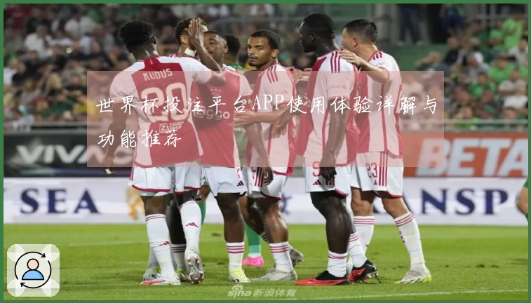 世界杯投注平台APP使用体验详解与功能推荐